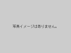 X|[cكf[^x[X